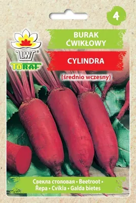 Zdjęcie produktu dla Burak ćwikłowy Cylindra Nasiona 10g Toraf 17.