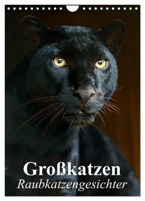 Produktbild von Großkatzen. Raubkatzengesichter (Wandkalender 2027 DIN A4 hoch), CALVENDO Monatskalender