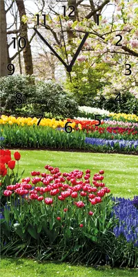 Produktbild von Wallario Design Wanduhr bedruckt, Größe 30 x 60 cm, Motiv: Bunte Blumen und Kirsch-Baum im Park blühen im Frühling