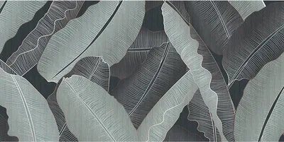 Produktbild von Tadessi Fototapete | Palmen | 5.00 m x 2.50 m | Grau | Grün | Wandbild | Digitaldruck