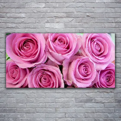 Produktbild von Glasbilder 120x60 Wandbild Druck auf Glas Rosen Pflanzen