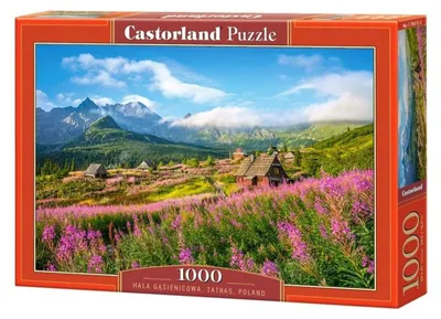 Produktbild von Castorland Hala Gąsienicowa, Tatras, Poland 1000 pcs, 1000 Stück(e), Landschaft, 9 Jahr(e)