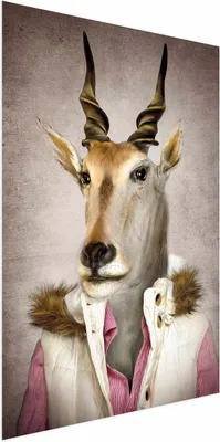 Produktbild von Posterpapier Poster - Antelope Jessica 29.7x42 cm Tiere g-B-0129-ao-a