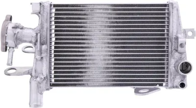 Image de JMP TRS-R-643 refroidisseur d'eau droit pour BMW R