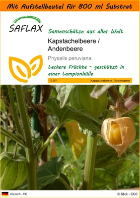 Produktbild von SAFLAX Garden in the bag - Kapstachelbeere / Andenbeere - Physalis peruviana - 100 Samen - Mit Anzuchtsubstrat im praktischen, selbst aufstellenden Beutel