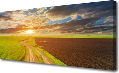 Produktbild von Tulup Leinwand-Bilder 125x50 Wandbild Canvas Kunstdruck Acker Fußpfad Landschaft