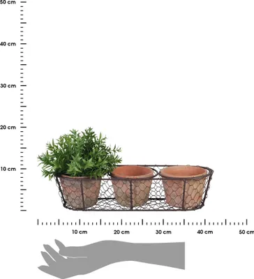 Image de Esschert Design | Set de jardinières en terre cuite - 3 pièces - Orange - Rustique et fait main - Pots de fleurs