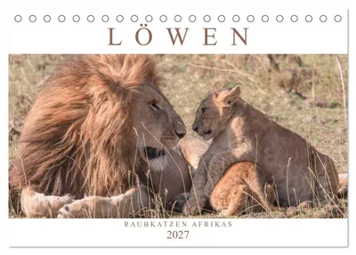 Produktbild von Löwen - Raubkatzen Afrikas (Tischkalender 2027 DIN A5 quer), CALVENDO Monatskalender
