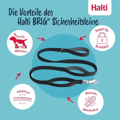 Image de Hundegeschirr Compagnie des animaux L