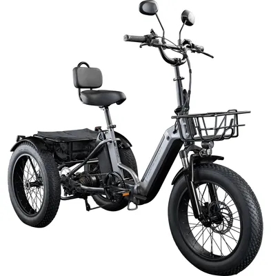 Produktbild von Remington R100 E Bike Dreirad 20 Zoll Elektrodreirad Pedelec City mit tiefem Einstieg klappbar schwarz/grau