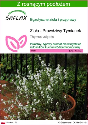 Zdjęcie produktu dla SAFLAX - Zioła - Prawdziwy Tymianek - 200 Nasiona - Z podłożem uprawowym wolnym od zarazków - Thymus vulgaris