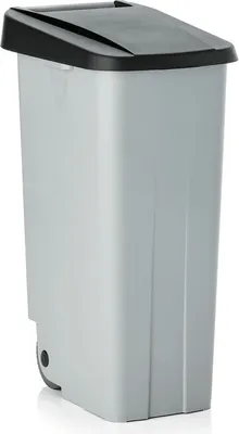 Produktbild von 2x Abfallbehälter schwarz  mit 2 Rollen, Polypropylen, 110 L