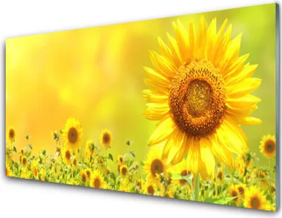 Produktbild von Acrylglasbilder 100x50 Wandbild Druck Sonnenblumen Pflanzen