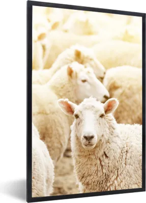 Produktbild von MuchoWow® Gerahmtes Poster Schafe - Wolle - Weiß 40x60 cm - Poster mit Schwarzem Bilderrahmen Wandposter Rahmen Foto Bilder - Papierdruck - Wandbilder