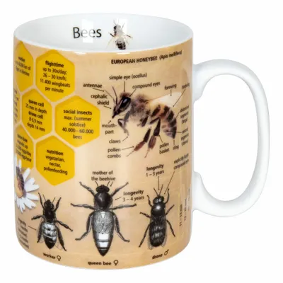 Produktbild von Könitz Wissensbecher Bees Becher, Kaffeebecher, Teetasse, Tasse, Porzellan, 360 ml, 11 1 330 2446
