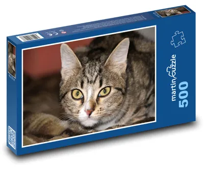 Obrázok produktu pre Puzzle 500 Detailný portrét mačky - martinpuzzle