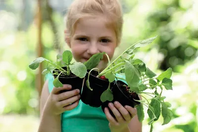 Produktbild von Anzuchtopf elho Anzuchtopf Starter Set Green Basic 10 St. Ø 8 cm H 12 cm schwarz 100% recycelter Kunststoff