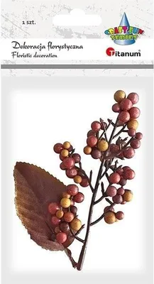 Image de Bouquet de myrtilles avec mélange de feuilles 1pc