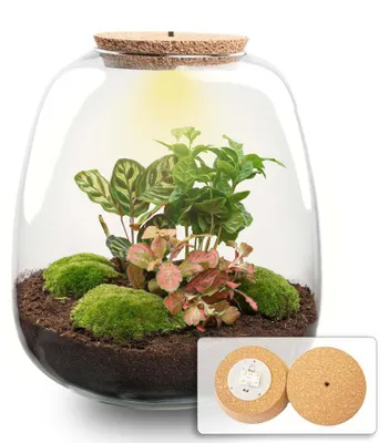 Produktbild von -  25 cm - Ø23cm