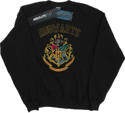 Produktbild von Harry Potter - Sweatshirt für Herren BI28141 (XL) (Schwarz)
