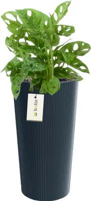 Image de Jardinière ronde Ø 25 cm H 48 cm Anthracite élégant haut rayé