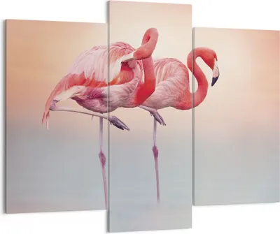Produktbild von Bild auf Leinwand - Leinwandbild - 3 Teile - Flamingos Exotik Vögel - 130x100cm - Wand Bild - Wanddeko - Wandbilder - Leinwanddruck - Bilder - Wanddekoration - Leinwand bilder - CB130x100-5044