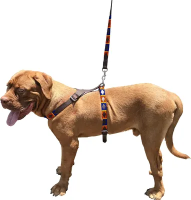 Produktbild von Hundegeschirr Echt Leder L, kein Zug, stressfreies Gehen
