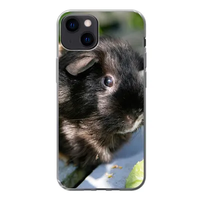 Produktbild von MuchoWow® Handyhülle Schutzhülle Hülle für iPhone 13 Meerschweinchen im Garten Silikon Softcase Handy Hülle - Karteninhaber