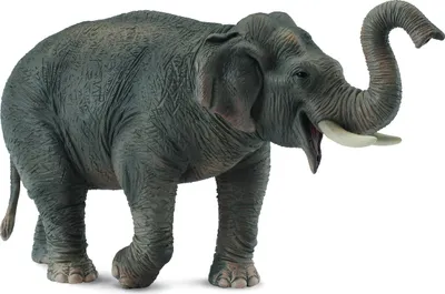 Immagine prodotto di Elefante asiatico