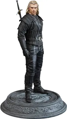 Image de Dark Horse Netflix The Witcher Geralt of Rivia Statue 22 cm DAHO3008-743