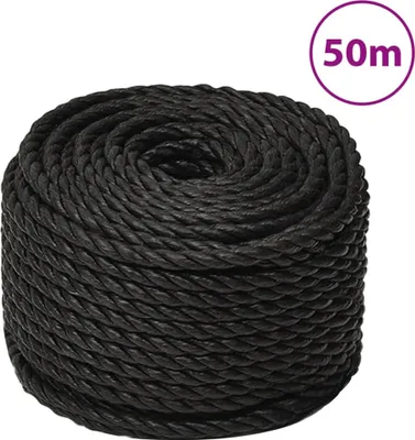 Produktbild von The Living Store Arbeitsseil Schwarz 16 mm 50 m Polypropylen