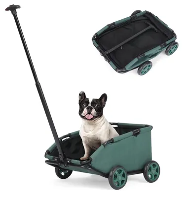 Image de Chariot pliable pour petits animaux de compagnie, équipé d'une laisse de sécurité