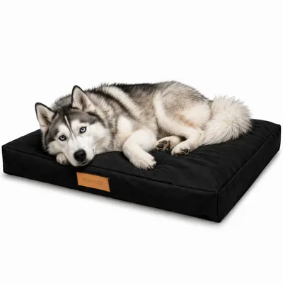 Produktbild von Hundebett - Hundekissen großer Hund - Hundematte XXL schwarz