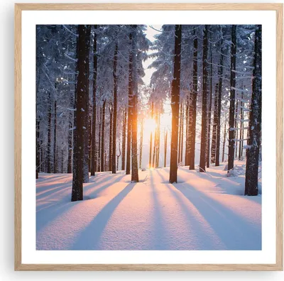 Produktbild von Gerahmtes Poster - Rahmen in heller Eiche - Wald Winter Schnee - 60x60 cm - Wand Bild - Wanddeko - Wandbilder - Wandposter - Bilderrahmen - Bilder - Kunstdruck - Wandbild - P2NAC60x60-3629