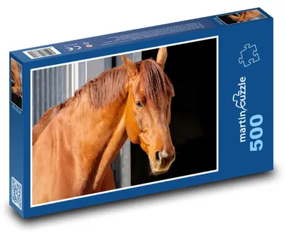 Zdjęcie produktu dla Puzzle 500 Piękny koń w zagrodzie - martinpuzzle