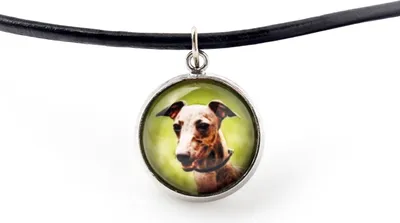Image de Azawakh - collier avec pendentif et votre photo, bijou fait main de la marque Art-Dog