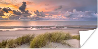 Produktbild von MuchoWow® Poster Sonnenuntergang - Düne - Strand - Pflanzen - Meer 40x20 cm - Poster für die Wand - Poster Schlafzimmer