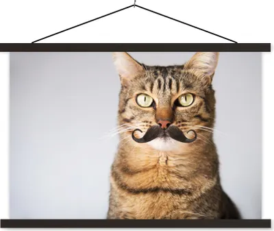 Produktbild von MuchoWow® Textilposter Katze - Schnauzbart - Hipster 90x60 cm mit schwarzem Rahmen - Aufhängungssatz