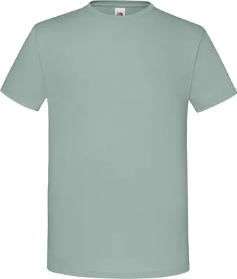 Image de Fruit of the Loom - T-shirt « Iconic » pour hommes/femmes Unie LT2613 (3XL) (Sauge)
