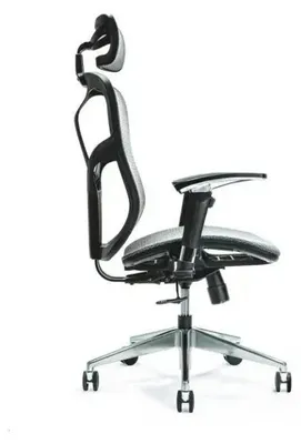 Obrázok produktu pre Ergonomická kancelárska stolička ERGO 500 sivá