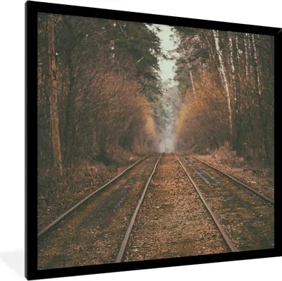 Produktbild von MuchoWow® Gerahmtes Poster Bahnstrecke - Weg - Wald - Baum 40x40 cm - Poster mit Schwarzem Bilderrahmen Wandposter Rahmen Foto Bilder - Mit Rahmen - Wanddekoration Schlafzimmer