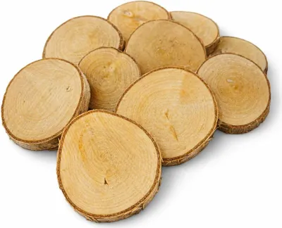 Produktbild von Holzscheibe 8-10 / 1 cm Birke ungeschliffen Set 10 Stück