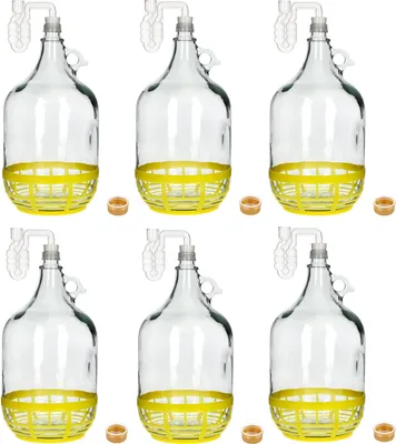 Produktbild von lilawelt24 6x 5L Gärballon Glas Set – Platzsparend mit Gärröhrchen & Korb