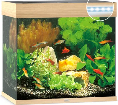 Produktbild von Juwel Lido 120 LED helles Holz - Aquarium Juwel