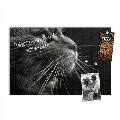 Produktbild von Magnettafel 60x40cm Pinnwand Whiteboard beschreibbar - Nahaufnahme Katze
