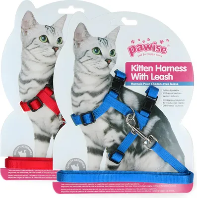 Image de Pawise Kitten Harness Laisse - Rouge/Bleu