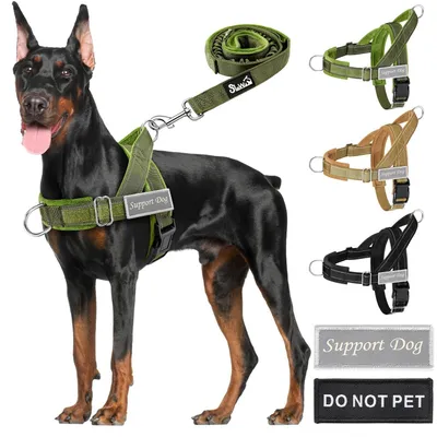 Immagine prodotto di Imbracatura per cani con guinzaglio regolabile e dettagli riflettenti