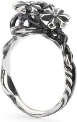 Produktbild von Trollbeads Mod. Tagri-00304