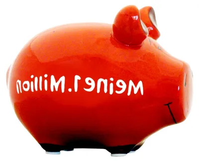Produktbild von 'Meine 1. Million' Kleinschwein 100957