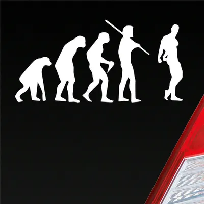 Produktbild von Auto Aufkleber Evolution Fitness Sport Bodybuilding 15x7,5 cm Weiss Glanz Sticker Heckscheibenaufkleber